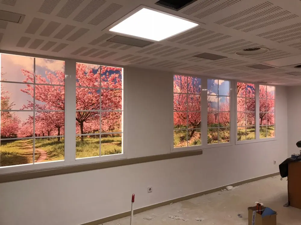 Trabajo realizado por Alucisa — vista desde el interior